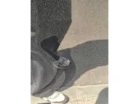 Left Fender