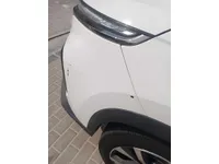Front left door