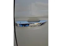 Rear left door