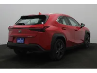 More images
