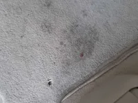 Scratched/Dented