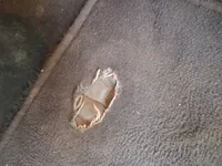 Scratched/Dented