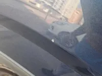 ألواح هيكل السيارة الأيمن