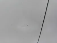 الباب الأمامى الأيسر