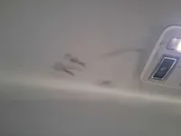 Scratched/Dented