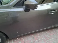 Front left door