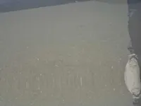 الباب الأمامى الأيسر
