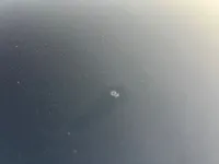 غطاء المحرك (الكبوت)