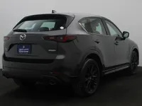 More images