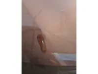 Bonnet