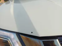 Bonnet