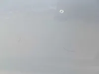 الباب الخلفى الأيسر