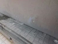 الباب الخلفى الأيسر