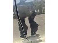 الباب الخلفى الأيسر