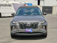 More images