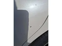 Rear left door