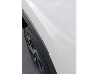 Rear left door