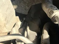 الصدام الأمامى