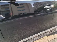 Front left door