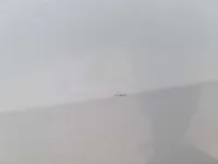 الباب الخلفى الأيسر