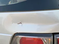 Trunk / Boot door