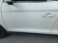 Front left door