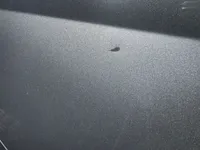 الباب الخلفى الأيمن