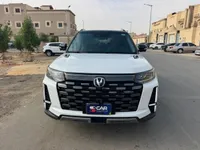 More images