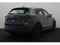 More images