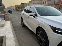 More images