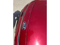 Bonnet