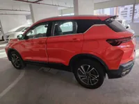 More images