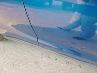 الباب الأمامى الأيمن
