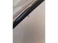 Bonnet