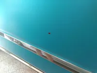 الباب الخلفى الأيمن