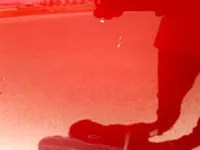 الباب الخلفى الأيسر