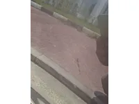 الباب الأمامى الأيمن