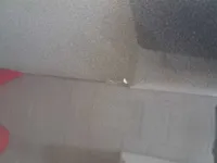 الباب الخلفى الأيسر