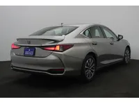More images
