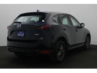More images