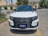 More images