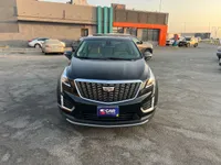 More images