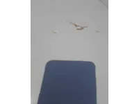Car roof