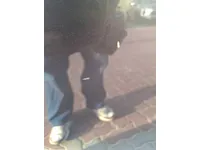 الباب الخلفى الأيمن