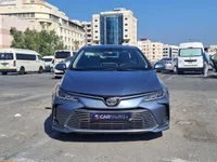 More images