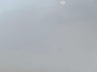 الباب الخلفى الأيمن