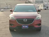More images