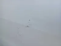 الباب الخلفى الأيسر