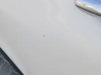 Left Fender