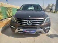 More images
